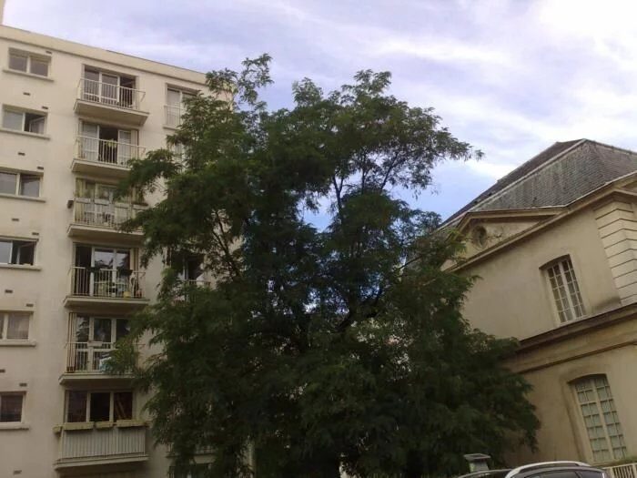 Property view 2